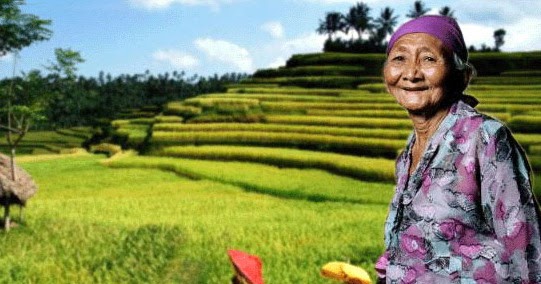 Seharusnya Petani Indonesia Kaya Raya  Mesin Pertanian Modern