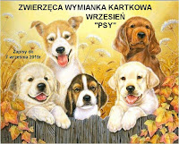 http://misiowyzakatek.blogspot.com/2019/10/zwierzeca-wymianka-kartkowa-pazdziernik.html