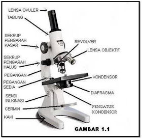 Mikroskop Cahaya