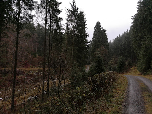 Sauerland wandern Wetter blog Willingen X16 Kaiser-Otto-Weg E1 europäischer Fernwanderweg