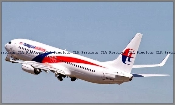 Agensi Penerbangan Pilihan ~ Malaysia Airlines