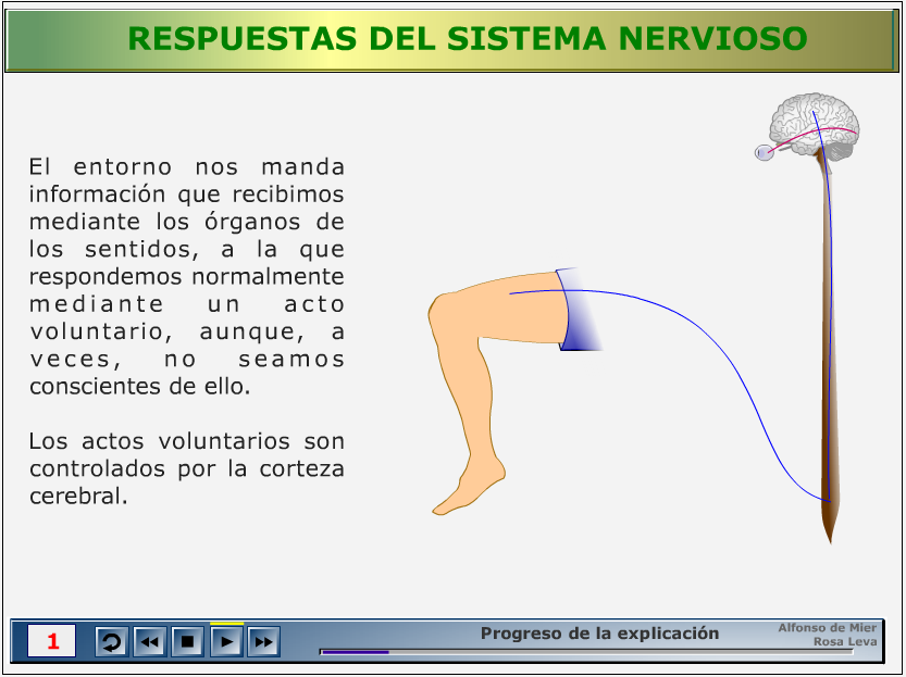 http://recursostic.educacion.es/secundaria/edad/3esobiologia/3quincena11/index_3quincena11.htm