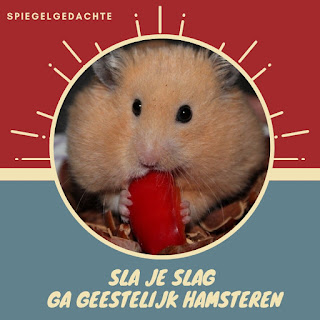 Spiegelgedachte, Hillie Snoeijer: Geestelijk hamsteren