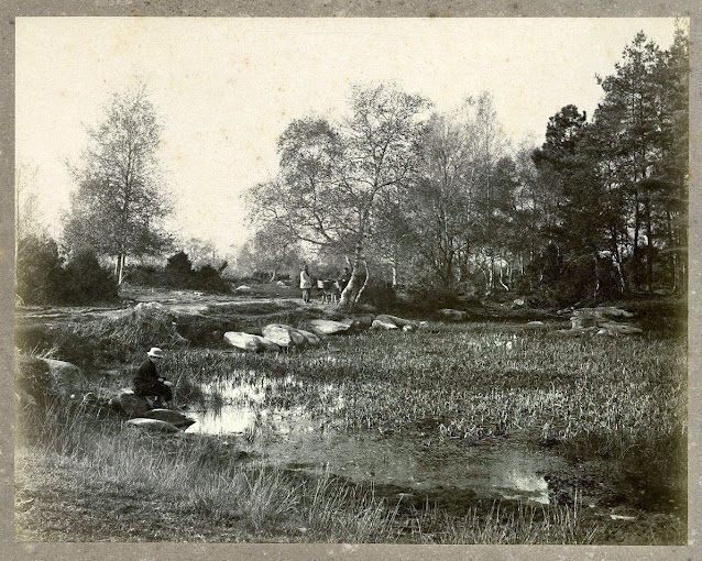 "La Mare aux Fées" Forêt de Fontainebleau