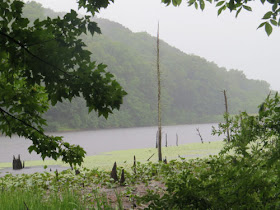 Spurgeon Hollow Lake