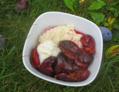 Grießbrei mit Zwetschgenkompott aus dem Backofen