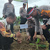 Program Penanaman Pohon dan Ketahanan Pangan Hiasi Hari Bhayangkara Ke-78 di Distrik Muara Tami
