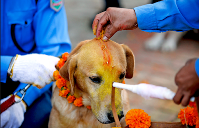 Kukur Tihar