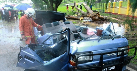 POKOK BESAR HEMPAP VAN SEKOLAH, 3 TERBUNUH  Pengajar