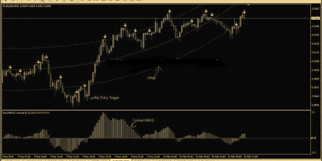 Scalping with Polynomial Regression