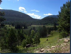 Hwy Spgs 2010 (3)