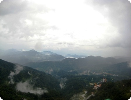 Picture 013