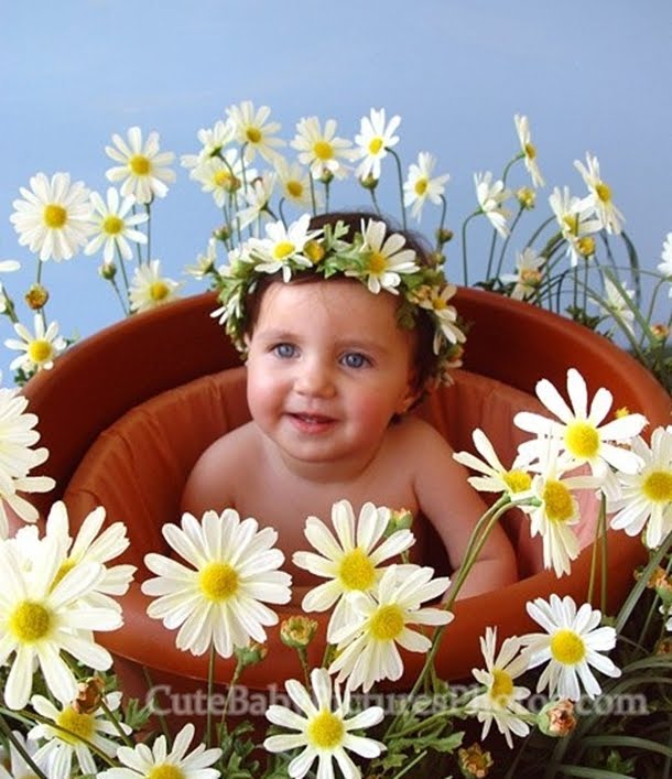 Cute Babies with Flowers