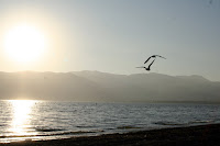 Final de tarde at Lake Elsinore, California, USA - 2007