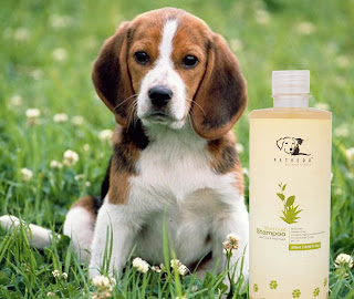 Pet Shampoo