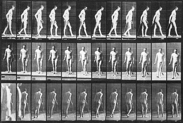 an Eadweard Muybridge motion study od a man walking