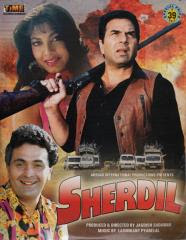 Sherdil 1990 Hindi Movie Watch Online
