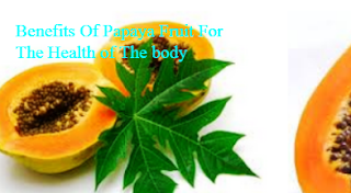 Benefits Of Papaya Fruit For The Health of The body