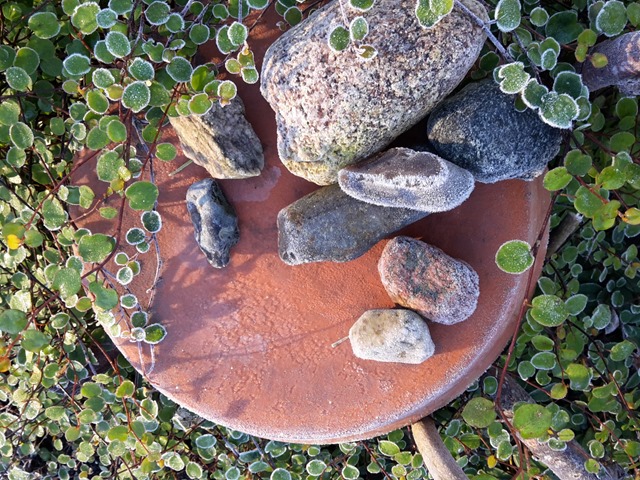 20171202_095641