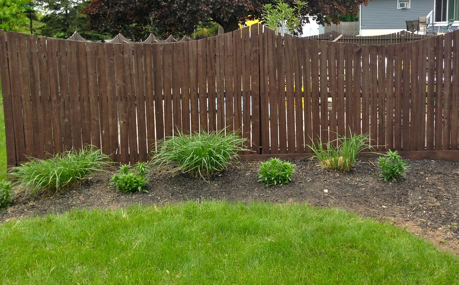 Staining A Fence