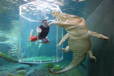 Crocosaurus Cove, Australia