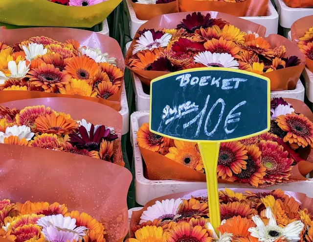 Ghent in a day: flowers at Kouter Bloemenmarkt