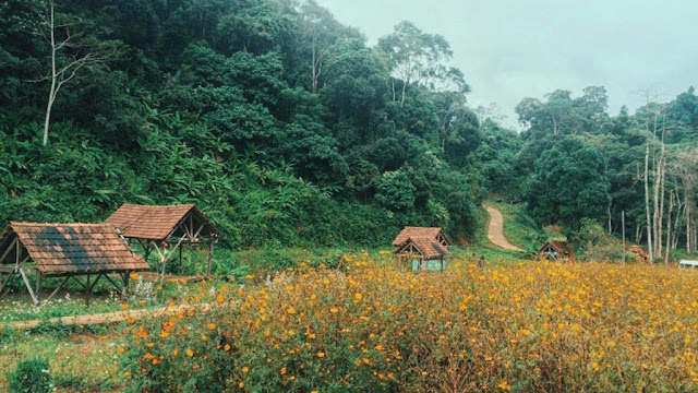 Đi tìm an yên nơi cao nguyên hùng vĩ - Măng Đen 