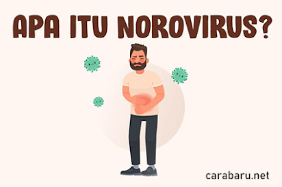 apa itu Norovirus