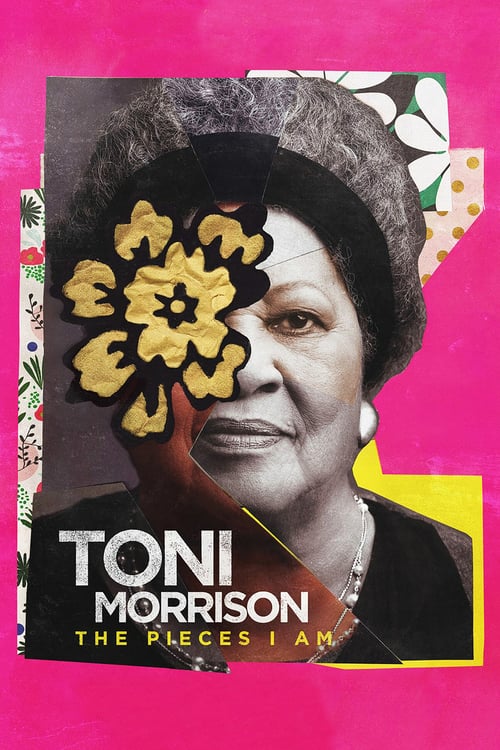 [HD] Toni Morrison: The Pieces I Am 2019 Pelicula Online Castellano