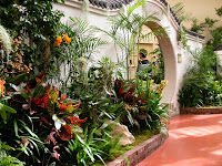 Botanical Gardens St Louis Orchid Show