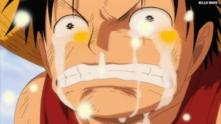 ワンピース アニメ 312話 ルフィ ゴーイングメリー号 別れ 最後 炎上 | ONE PIECE Episode 312 Going Merry