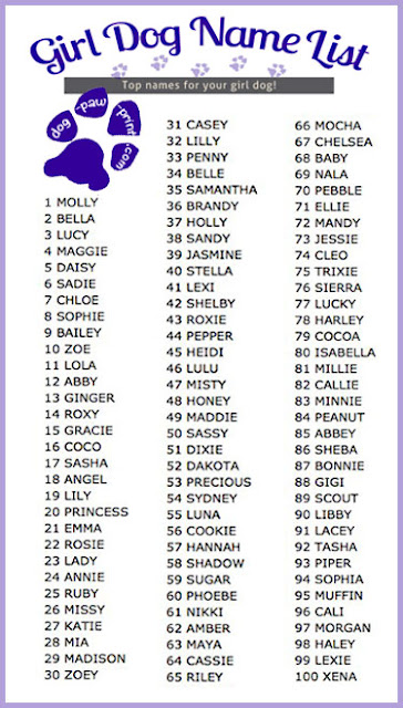 Top Girl Dog Names