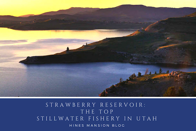 Strawberry Reservoir: The Best Stillwater Fishing in Utah blog cover image