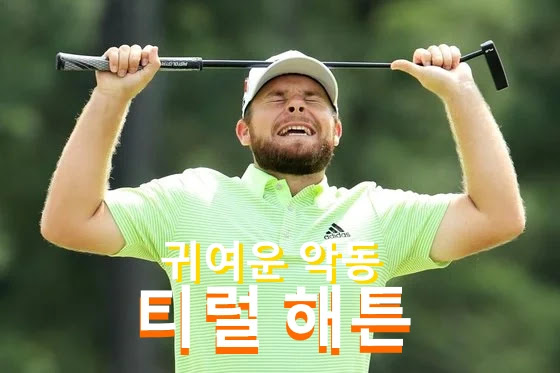 티럴 해튼 프로필 골프 클럽 퍼터 수상 상금 일정 (티럴 해턴 Tyrrell Hatton)