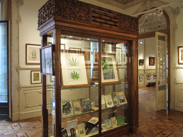 sala museo cannabis