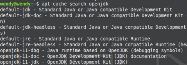dan pada kesempatan kali ini aku akan membahas Cara Menginstall JRE (Java Runtime Environment) Di Linux Mint