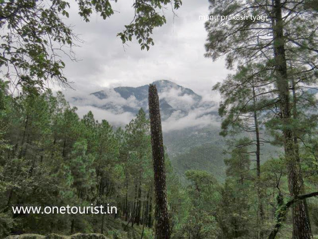 Kareri Trek , dharamshala , Himachal 