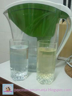 Get Clean Water Pitcher Untuk Sumber Air Selamat Dan Sihat