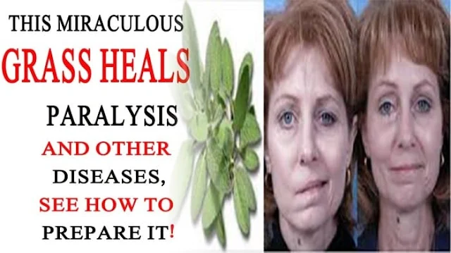 This Miraculous Grass Heals Paralysis And Other Diseases, See How To Prepare It!