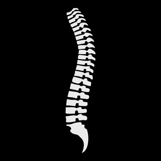 ¿QUE EFECTOS NO PRODUCE LA MANIPULACIÓN VERTEBRAL?