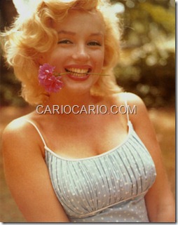 Marilyn Monroe (24)