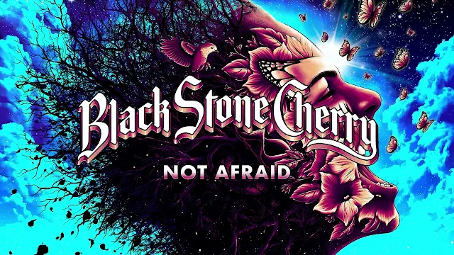 Not Afraid lyrics Black Stone Cherry