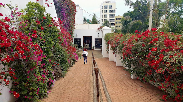 Lima, Peru, Melanie.Ps, The Purple Scarf, Travel, South America, Backpacking, Explore, Woman, Canandian, Larco Museum, garden