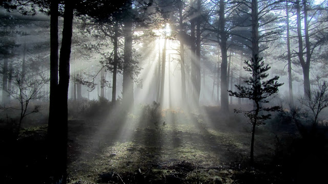 Niebla en San Rafael