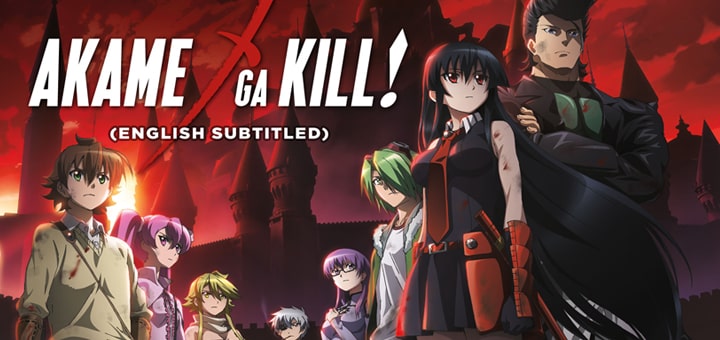 Akame ga Kill! img