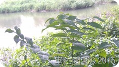 20151013_145506