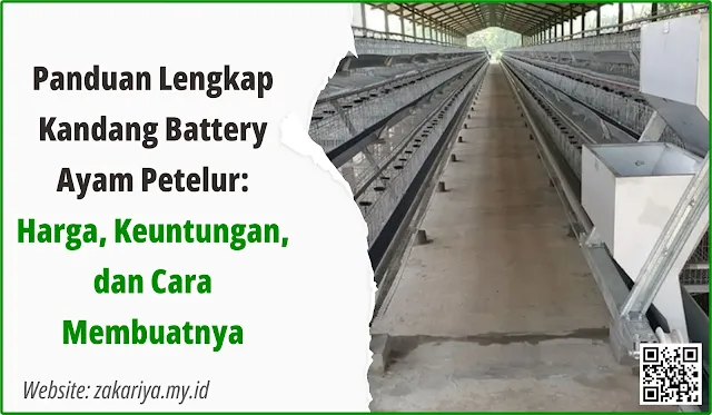 Panduan Lengkap Kandang Battery Ayam Petelur: Harga, Keuntungan, dan Cara Membuatnya