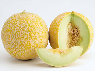 manfaat melon