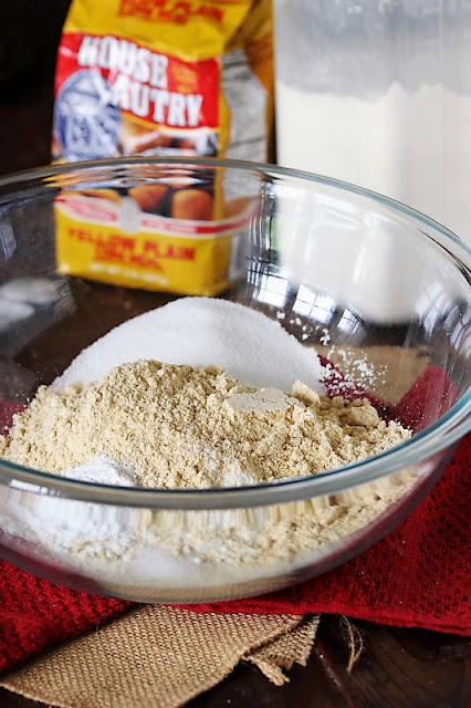 Spicy Salsa Muffins Dry Ingredients in Mixing Bowl Image