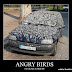 Angry Birds in Reality!